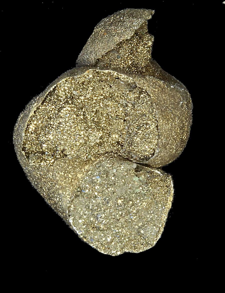 gastropod pyrite druze rs